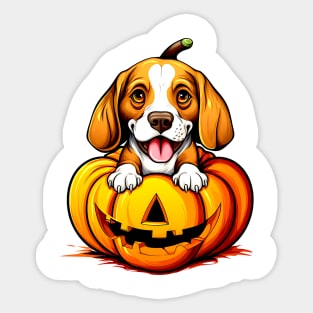 Beagle Dog inside Pumpkin #1 Sticker